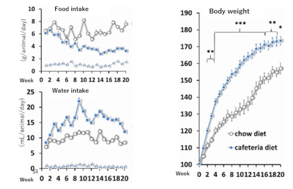 Result of Free choice diet