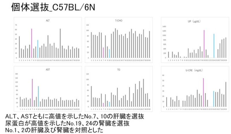 DIOmodel_摂水量