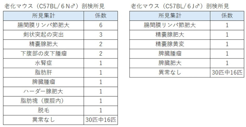 DIOmodel_摂餌量(接種カロリー)