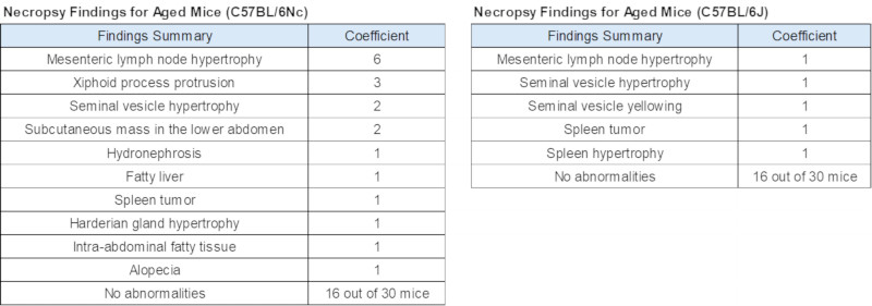 Key Necropsy Findings