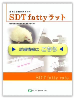 sdt_fatty_pdf_thumbnail.png