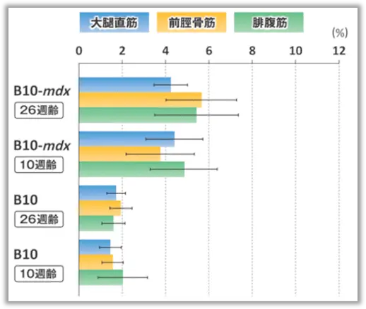 後肢筋線維化率